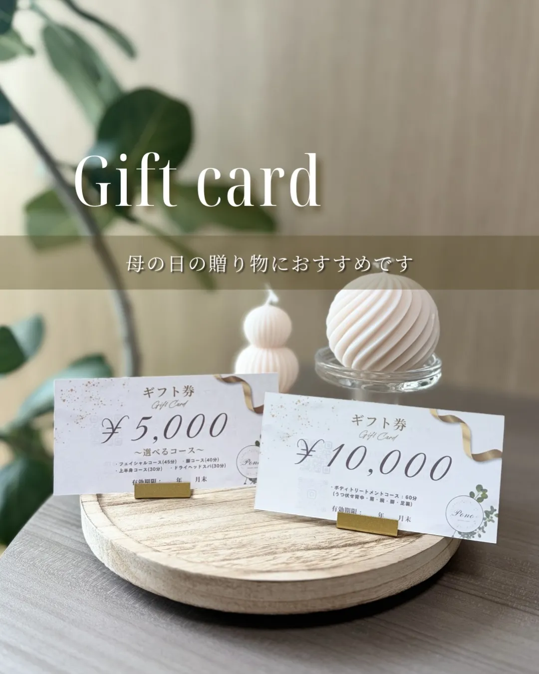 母の日、何を贈るか迷っている方へ🌿