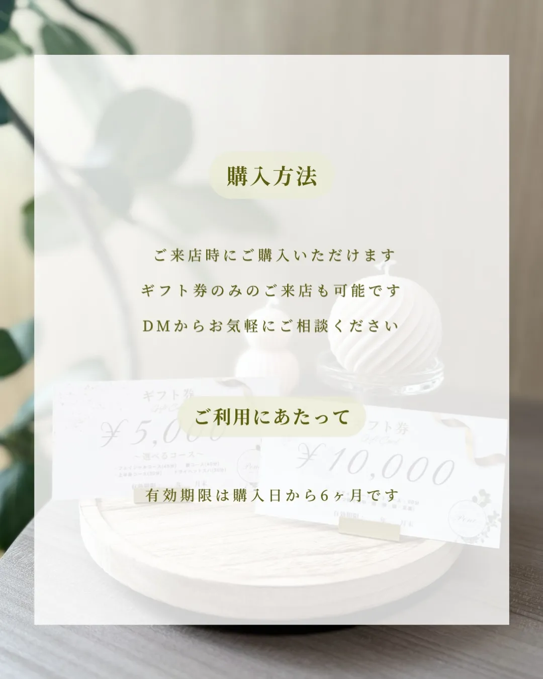 母の日、何を贈るか迷っている方へ🌿