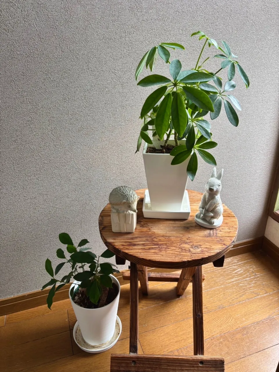 Private Salon Pono